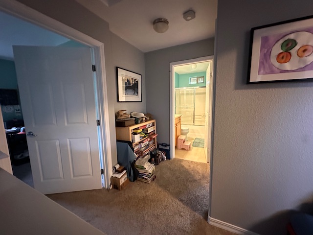 Second-floor hallway with carpeted floors, bookshelf, and view into a brightly lit bathroom with glass shower doors.