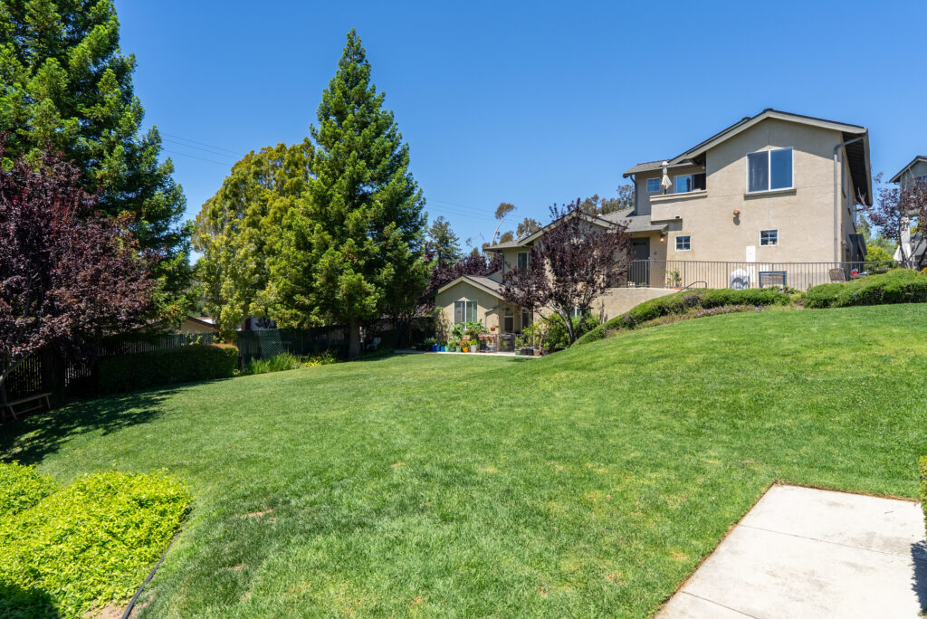 Shared grassy area with mature trees and open space for recreation