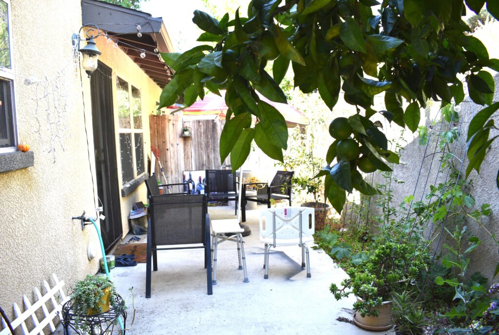Private backyard patio with seating area, mature orange tree, and surrounding garden plants.